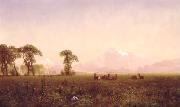 Albert Bierstadt Elk Grazing in the Wind River Country Sweden oil painting artist